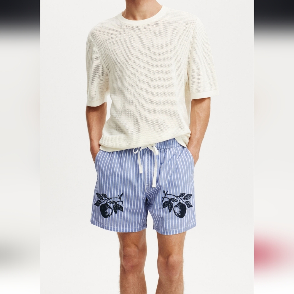 Cotton On Blue and White Striped Shorts